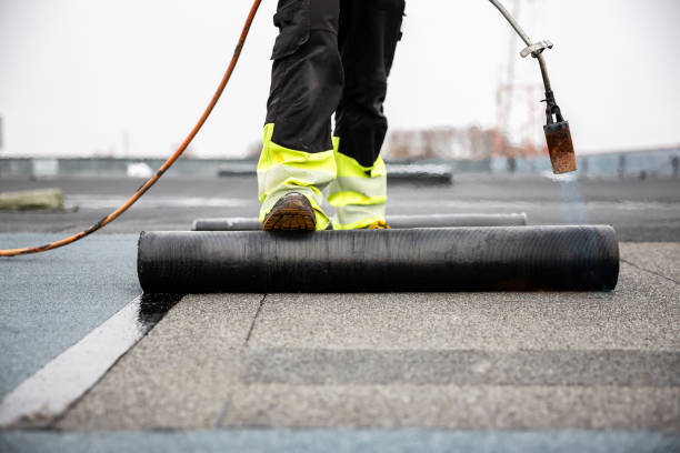 Best Chimney Flashing Repair  in Gladeview, FL
