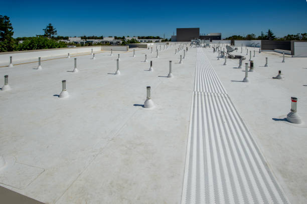 Best Gutter Installation and Repair  in Gladeview, FL